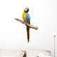 Macaw Parrot Wall Decal