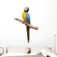 Macaw Parrot Wall Decal