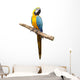 Macaw Parrot Wall Decal