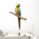Macaw Parrot Wall Decal