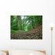 Woodland Path Wall Decal