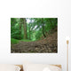 Woodland Path Wall Decal