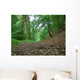 Woodland Path Wall Decal