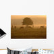 Herbstmorgen 2 Wall Decal