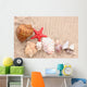 Seashells and Starfish Sand Wall Decal
