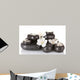 Black Spa Stones Wall Decal