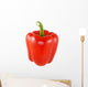 Red Pepper Wall Decal