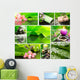 Green Spa Collage Wall Decal