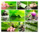 Green Spa Collage Wall Decal