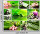 Green Spa Collage Wall Decal