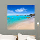 Aigues Blanques Agua Blanca Ocean View Wall Decal