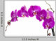 Purple Orchid Stem Wall Decal