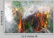 Fire Nature Wall Decal