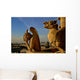 Gargoyles Notre Dame Paris Wall Decal