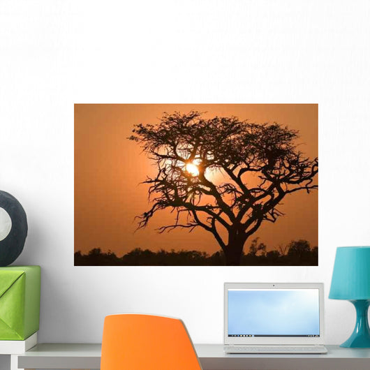 Sunrise Moremi Wall Decal
