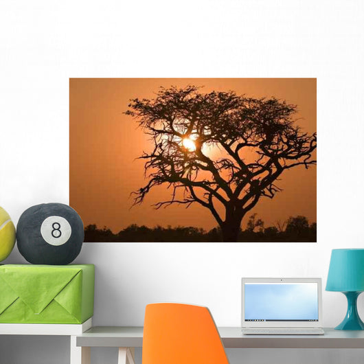 Sunrise Moremi Wall Decal
