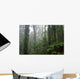 Deep Rain Forest Wall Decal