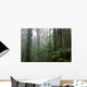 Deep Rain Forest Wall Decal
