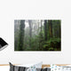 Deep Rain Forest Wall Decal