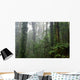 Deep Rain Forest Wall Decal