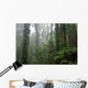 Deep Rain Forest Wall Decal