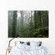 Deep Rain Forest Wall Decal