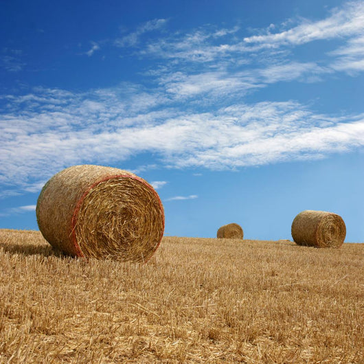 Straw Bales Wall Decal