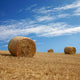 Straw Bales Wall Decal