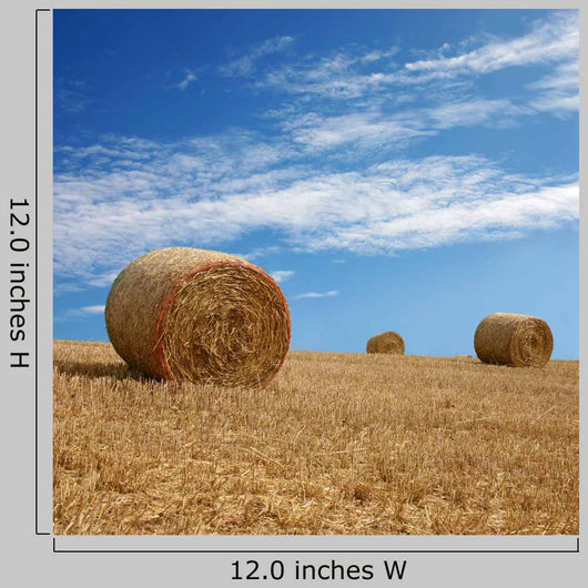 Straw Bales Wall Decal
