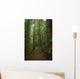Rain Forest Path Wall Decal