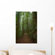 Rain Forest Path Wall Decal