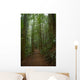 Rain Forest Path Wall Decal