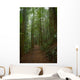 Rain Forest Path Wall Decal