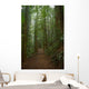 Rain Forest Path Wall Decal