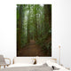 Rain Forest Path Wall Decal