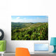Vineyards Wall Decal
