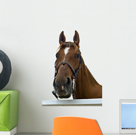 Portrait Horse Wall Decal