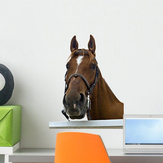 Portrait Horse Wall Decal