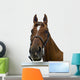 Portrait Horse Wall Decal