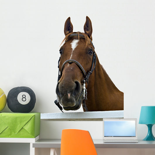 Portrait Horse Wall Decal