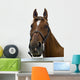 Portrait Horse Wall Decal