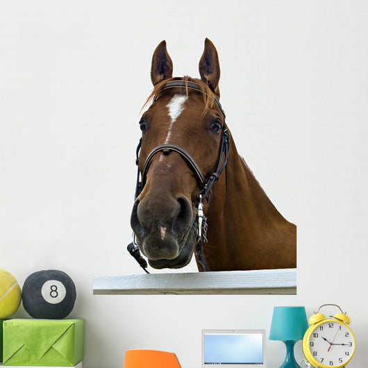 Portrait Horse Wall Decal