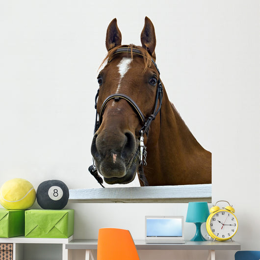 Portrait Horse Wall Decal