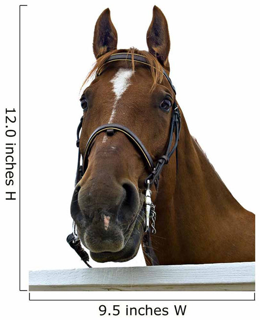 Portrait Horse Wall Decal