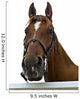 Portrait Horse Wall Decal