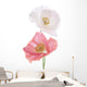 Poppy Wall Decal