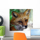 Red Fox Close-up Wall Decal