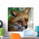 Red Fox Close-up Wall Decal