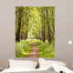 Path Sunny Summer Forest Wall Decal
