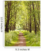 Path Sunny Summer Forest Wall Decal